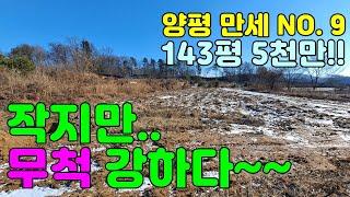 작지만.. 무척 강하다!! 똘똘하고 야무진 가성비 최강의 토지 / 양평 만세부동산TV / 031 - 771 - 7312 / 031 - 771 - 7377