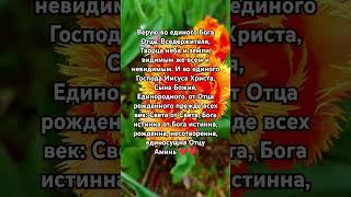 Символ Веры Верую во единого Бога Отца, Вседержителя #псалмы #божья #милост