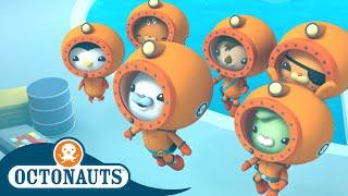 Octonauts - Team Ocean Research | Cartoons for Kids | Underwater Sea Education