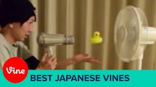 Best Japanese Vines of January 2015 | Part 01 Vine Compilation