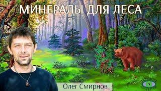  Минералы для взаимодействия с лесом и животными. Литотерапия. Олег Смирнов