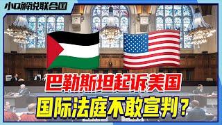 国际法最新解读：巴勒斯坦起诉美国，国际法院迟迟不敢宣判丨小Q解读联合国