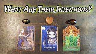  What Are Their Intentions?   Pick A Card Love Reading