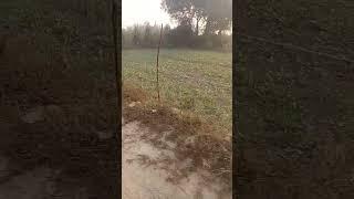Super seen short #shorts #viralvideo