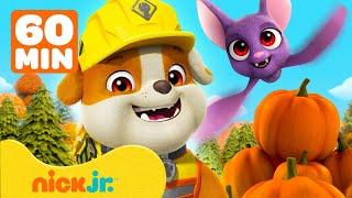 Rubble e Sua Turma | Rubble Celebra o Outono no Quintal da Matilha! com Motor & Charger | Nick Jr.