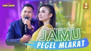 Tasya Rosmala ft Brodin New Pallapa - Jamu Pegel Mlarat (Official Live Music)