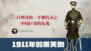 1911年的黑天鹅会在2025年的中国上演吗？