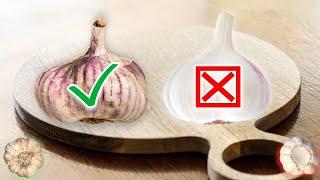 Why I’m Never Buying Garlic Again