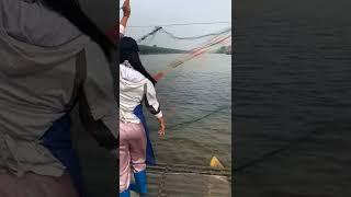 Amazing Asian Cast Net Fishing to Catching a big fish in the river 86