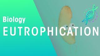 What Is Eutrophication | Agriculture | Biology | FuseSchool