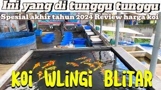 Dari dusun kambilpang desa tegalasri Yang di tunggu akhirnya nongol‼️koi blitar bagus tur sae