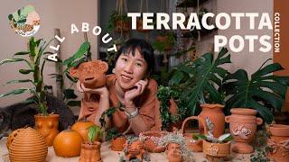 All About Terracotta Pots | My Houseplant Planter Collection Update