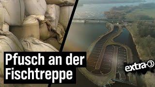 Realer Irrsinn: Pfusch an der Fischtreppe in Geesthacht | extra 3 | NDR