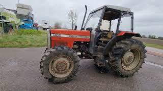 Massey Ferguson 365 - Mosterttrading