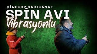 SPİN AVI VİBRASYONLU ÇİNEKOP SARIKANAT #spin #balıkavı #çinekop #sarıkanat #öneçıkar #fishing