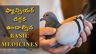 Pigeon Health | Essential Medicines and Supplements for Pigeon Fanciers