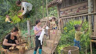 Pick fruit to sell and move the rabbits to a new place and put a roof over the rabbits