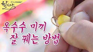 [민물낚시 Tip] 옥수수 미끼 잘 꿰는 방법