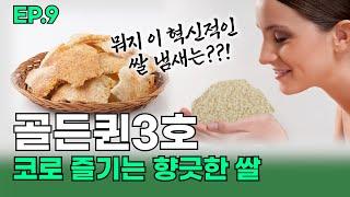 EP.9 이색적인 쌀밥을 먹고 싶다면? 코로 즐기는 향긋한 쌀 골든퀸3호│인기최고 화제의 쌀 수향미의 그 품종!