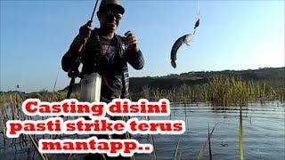 Gathering Family Angler Kukar @Birawa - Serunya casting gabus rame rame - Vlog Mancing #4