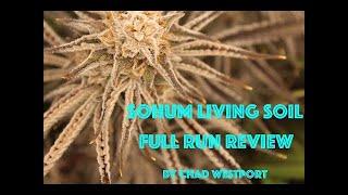 Sohum Living Soil  -  Full Run Review w/ Chad Westport : Spider Farmer