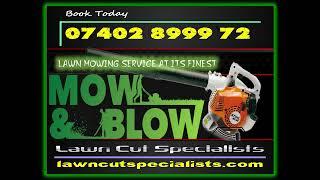 Professional Grass Cutting And Lawn Mowing Service In North Somerset UK