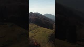 Autumn Bakhmaro, Georgia, part 11 #georgia #bakhmaro #drone #dronevide #грузия #Бахмаро #travel