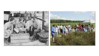 Then and Now - 100 Years of UF/IFAS Extension