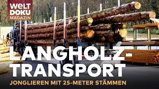 MEGA-HERAUSFORDERUNG LANGHOLZTRANSPORT! Tonnenschwerer Mikado-Meister auf Rädern | WELT Doku Magazin