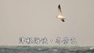津軽海峡・冬景色     　テレサ・テン