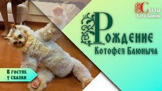 Рождение Котофея Баюныча и его предназначение / Сказы Кота Баюна из Колосвета