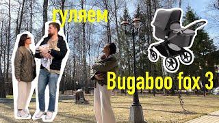 16. много гуляем. СРАВНЕНИЕ с коляской Bugaboo fox 3. ПОКУПКИ.