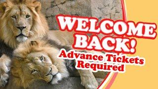 Welcome Back to Brookfield Zoo!