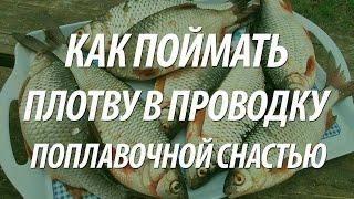 ЛОВЛЯ В ПРОВОДКУ ПЛОТВЫ ПОПЛАВОЧНОЙ СНАСТЬЮ