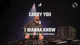 Alesso x Martin Garrix - Carry You x I Wanna Know (Alesso Tomorrowland 2024 Mashup)