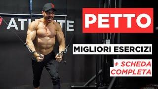 SCHEDA PETTO - Analisi migliori esercizi pettorali + scheda completa