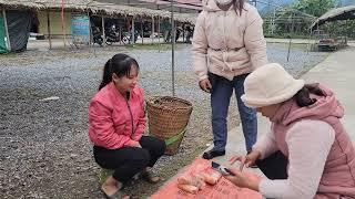 Go up to the bamboo peach forest and grow sweet potatoes / triệu muội muội