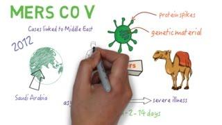 MERS CoV - An overview