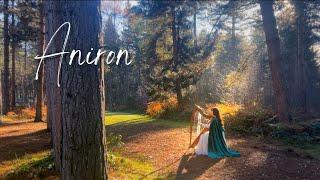 Aníron (Enya) - Celtic Harp