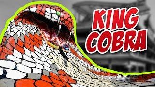 KING COBRA - AMAAZIA WATER PARK