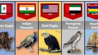 National Birds From Different Countries