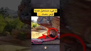 معلومة لعقلك