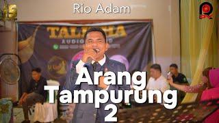 Arang Tampurung 2