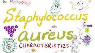 Staphylococcus aureus Characteristics | Microbiology  & Infectious Diseases 