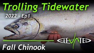 Tidewater Fall Chinook | Oregon Salmon 2022 | Crockers Guide Service