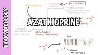 Azathioprine - Pharmacology, mechanism of action, side effects,