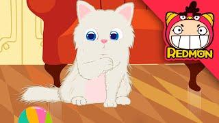 Save the Persian Cat! | Mark's Animal Clinic | Cartoon | animal hospital | REDMON