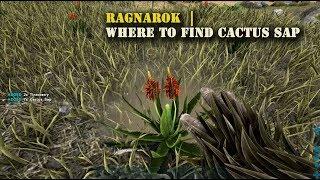 Ark Ragnarok : Where to find Cactus Sap !