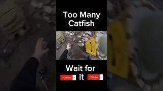 Too Many Catfish- Doubling up!