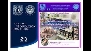 Actualidades en el control farmacológico de las parasitosis en los perros y gatos